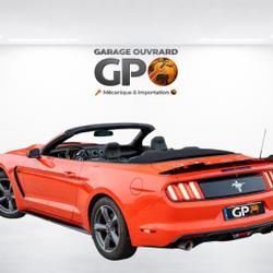 Ford Mustang 3.7 V6 305 MACH 1 Monsireigne