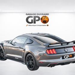 Ford Mustang 3.7 V6 305 Monsireigne