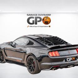 Ford Mustang 5.0 V8 421 GT Monsireigne