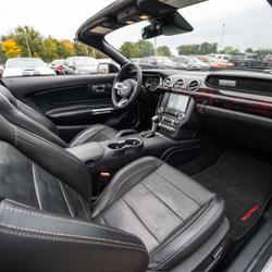 Ford Mustang Standard Monsireigne