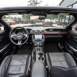 Ford Mustang Standard Monsireigne