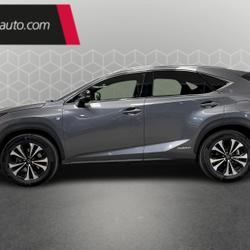 Lexus NX 300h 4WD F SPORT Executive occasion - Toulouse - photo 2/46