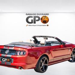 Ford Mustang Standard Monsireigne