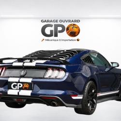 Ford Mustang Base Fastback Monsireigne