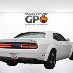 Dodge Challenger Standard Monsireigne