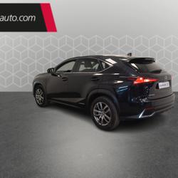 Lexus NX 300h 4WD Luxe occasion - Toulouse - photo 3/20