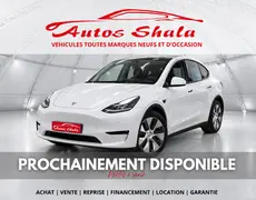 Tesla Model Y Stiring-Wendel