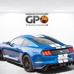 Ford Mustang 2.3 ECOBOOST  290 KIT SHELBY Monsireigne