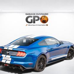 Ford Mustang 2.3 ECOBOOST  290 KIT SHELBY Monsireigne