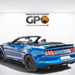 Ford Mustang 3.7 V6 305 KIT SHELBY Monsireigne