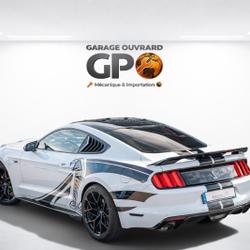 Ford Mustang 3.7 V6 305 KIT SHELBY Monsireigne
