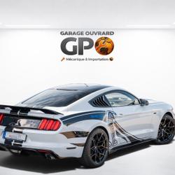 Ford Mustang 3.7 V6 305 KIT SHELBY Monsireigne