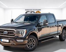 Ford F 150 Monsireigne