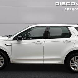Land Rover Discovery Discovery Sport Mark VII P300e PHEV AWD BVA R-Dynamic SE Saint-&Eacute;tienne