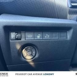 Citroen C4 X C4 X PureTech 130 S&S EAT8 Max Lexy