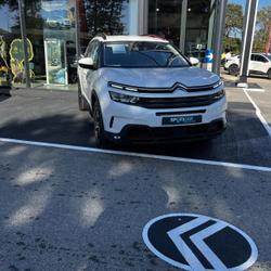 Citroen C5 Aircross Hybrid 225ch C-Series e-EAT8 Crach