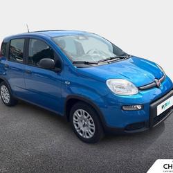 Fiat Panda Panda 1.0 70 ch Hybrid BSG S/S Panda City Mougins