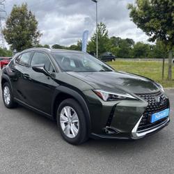 Lexus UX 250h 2WD Pack Saint-Jouan-des-Gu&eacute;rets