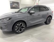 Cupra Terramar Belfort