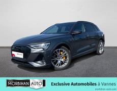 Audi e-tron Vannes