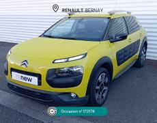 Citroen C4 Cactus - C4 Cactus BlueHDi 100 Shine - 9 900 €