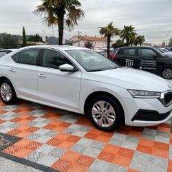 Skoda Octavia 2.0 TDI 115 BV6 AMBITION Cam&eacute;ra Lescure-d'Albigeois