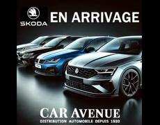 Skoda Fabia Haguenau