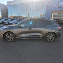 Ford Kuga 2.5 Duratec 190ch FHEV E85 ST-Line Business BVA Puget-sur-Argens