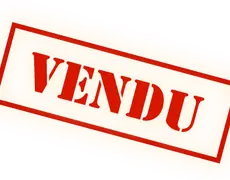 Renault Kangoo La Gacilly