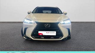 Lexus NX  - photo 1