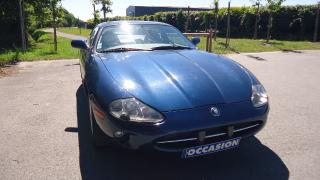 Jaguar Autres Jaguar  - photo 1