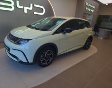 BYD Dolphin Lanester