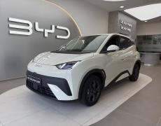 BYD Dolphin Lanester