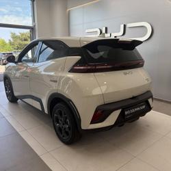 BYD Dolphin Dolphin Surf 43.2 kWh 156 ch Comfort Lanester