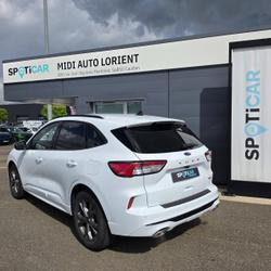 Ford Kuga 2.5 Duratec 180 Hybrid FlexiFuel ST-Line X Powershift / HAYON ML / ALCANTARA / GPS / CAMERA REC Caudan