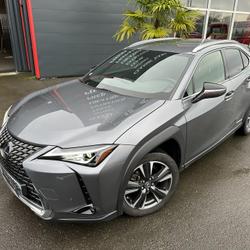 Lexus UX 250h 2WD Premium Edition MY22 Hyb non rechargeable Saint-Berthevin