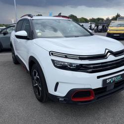 Citroen C5 Aircross BlueHDi 130ch S&S Business + EAT8 Crach