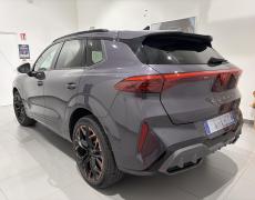 Cupra Terramar Belfort