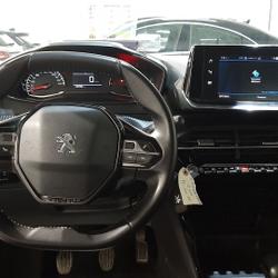 Peugeot 2008 1.5 BLUEHDI 100CH S&S ACTIVE BUSINESS Warcq