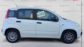 Fiat Panda  - photo 3