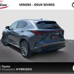 Lexus NX 450h+ Luxe Pack Design 4WD Chauray