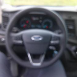 Ford Transit P350 L2 2.0 EcoBlue 130ch HDT Trend BUSINESS BENNE Perpignan