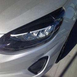 Ford Fiesta 1.0 Flexifuel 95ch Titanium Business 5p Perpignan