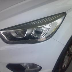Ford Kuga 1.5 TDCi 120ch Stop&Start Titanium Business 4x2 Powershift Perpignan