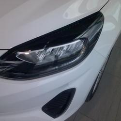 Ford Fiesta 1.0 Flexifuel 95ch Titanium Business 5p Perpignan