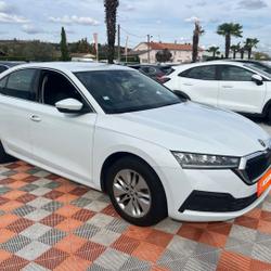 Skoda Octavia 2.0 TDI 115 BV6 AMBITION Cam&eacute;ra occasion - Lescure-d'Albigeois - photo 3/27
