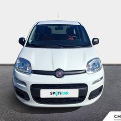 Fiat Panda Panda 1.2 69 ch S/S Ligue 1 Conforama Fr&eacute;jus