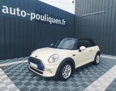 Autres Mini Merlevenez