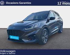 Ford Kuga Saumur