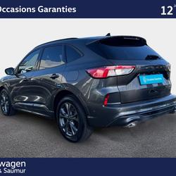 Ford Kuga Kuga 2.5 Duratec 190 ch FlexiFuel FHEV Bio&eacute;thanol Powershift ST-Line Saumur